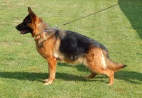 /album/photos-cessi/uprava-2-jpg/